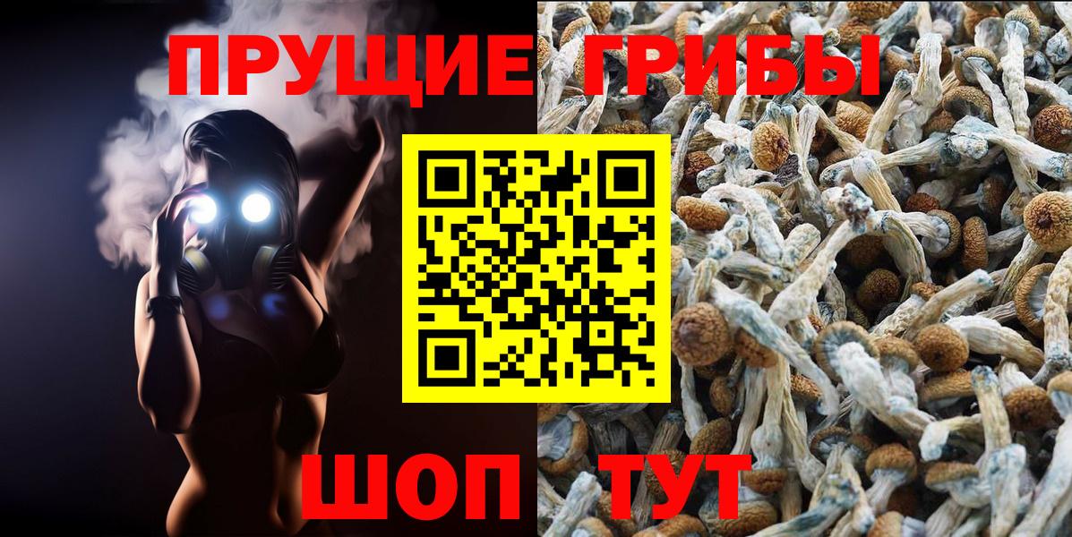 Котельники  Псилоцибиновые грибы Cubensis  Псилоцибиновые грибы MAGIC MUSHROOMS  Вход с VPN 