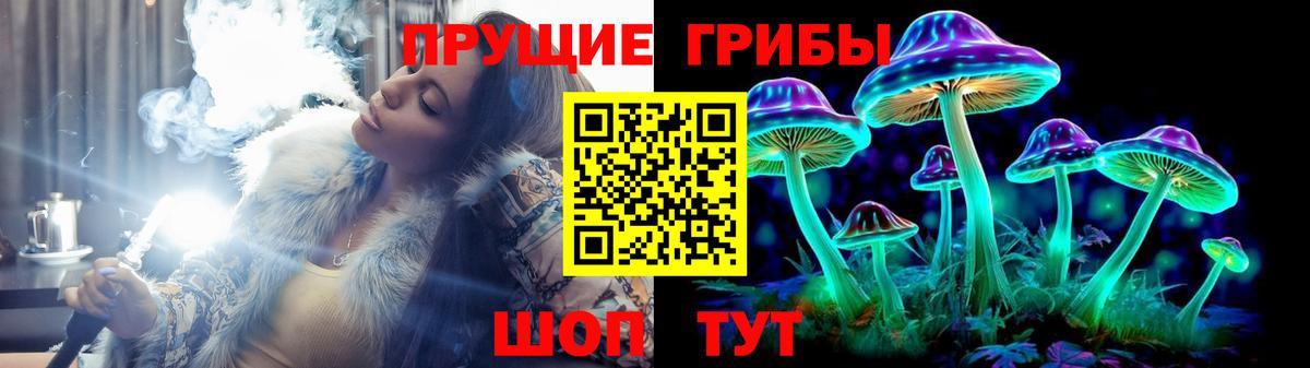 Галлюциногенные грибы Psilocybe Котельники